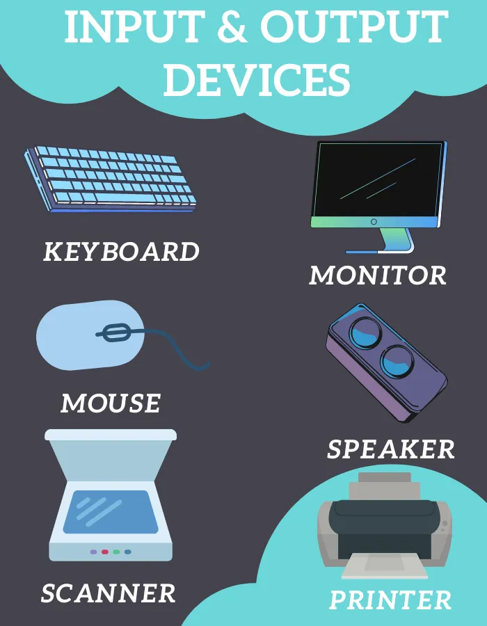 Input & output Devices
