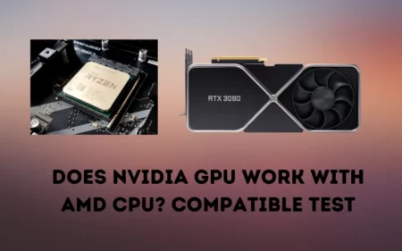 Does NVIDIA GPU Work with AMD CPU Compatible Test