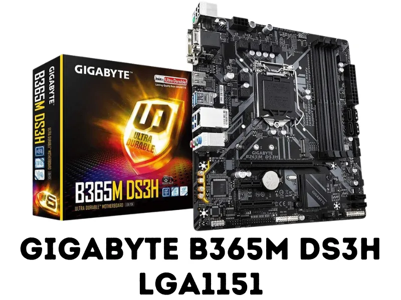 GIGABYTE B365M DS3H LGA1151 Gaming Motherboard