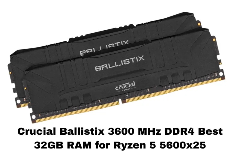 Crucial Ballistix 3600 MHz DDR4 Best 32GB RAM for Ryzen 5 5600x
