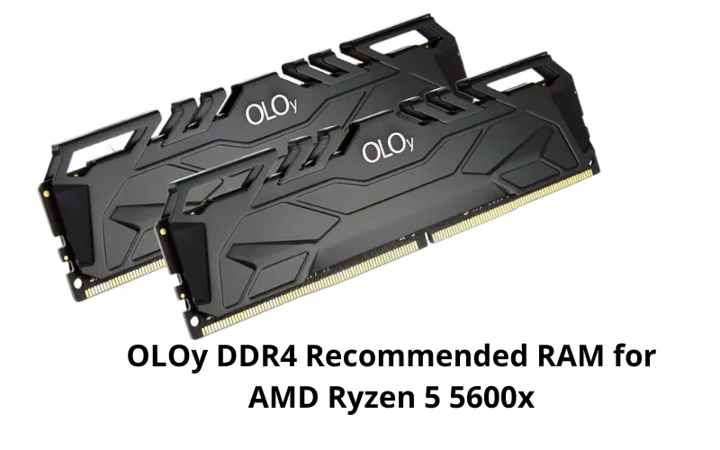 OLOy DDR4 Recommended RAM for AMD Ryzen 5 5600x