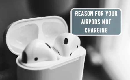 Reason for Your AirPods Not Charging
