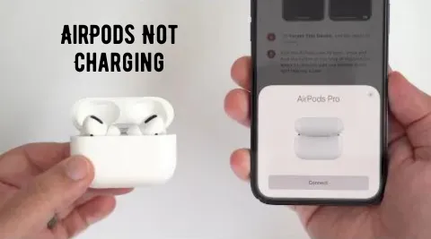 Why Airpods not charging